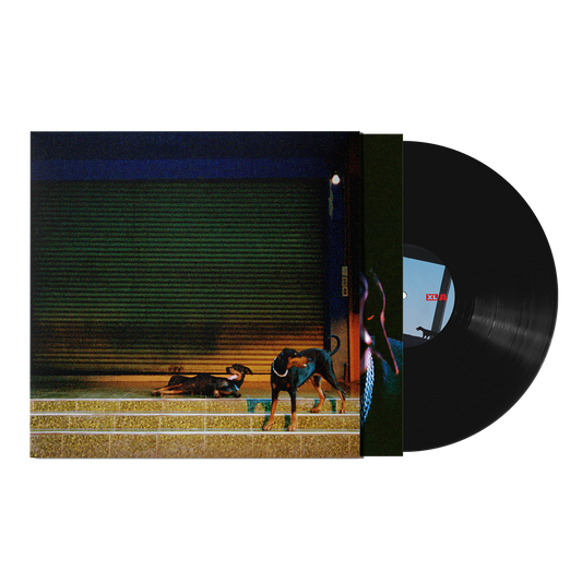 Overmono - Pure Devotion (PRE-ORDER)