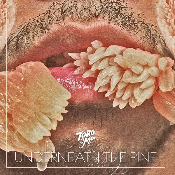 Toro Y Moi - Underneath The Pine